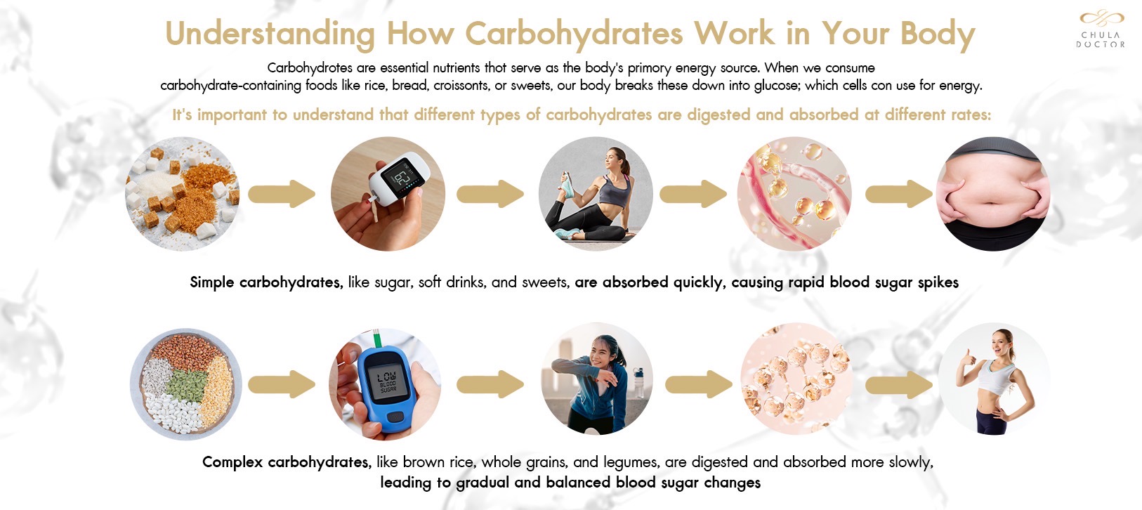 Understanding How Carbohydrates Work in Your Body